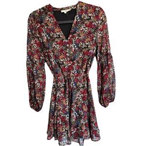 Entro Floral Dress Sz Sm Cinch Waist Chiffon Lined Short Cottagecore Fairycore